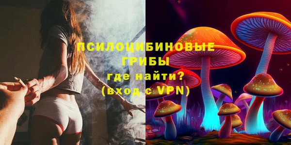 МДПВ Карталы