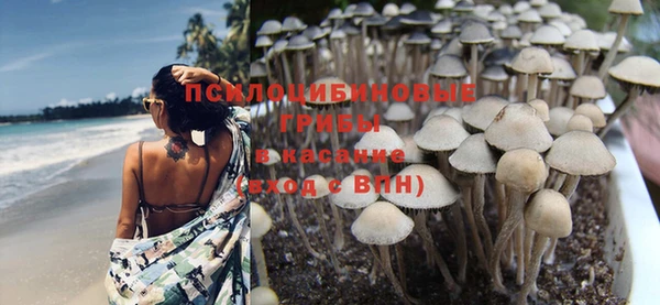 ALPHA PVP Касимов