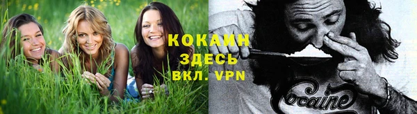 МДПВ Карталы